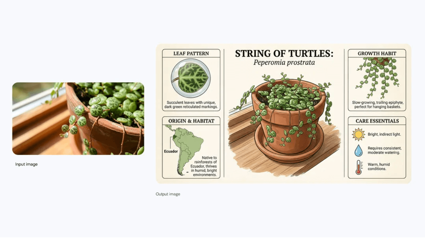 Nano Banana Pro料金プラン