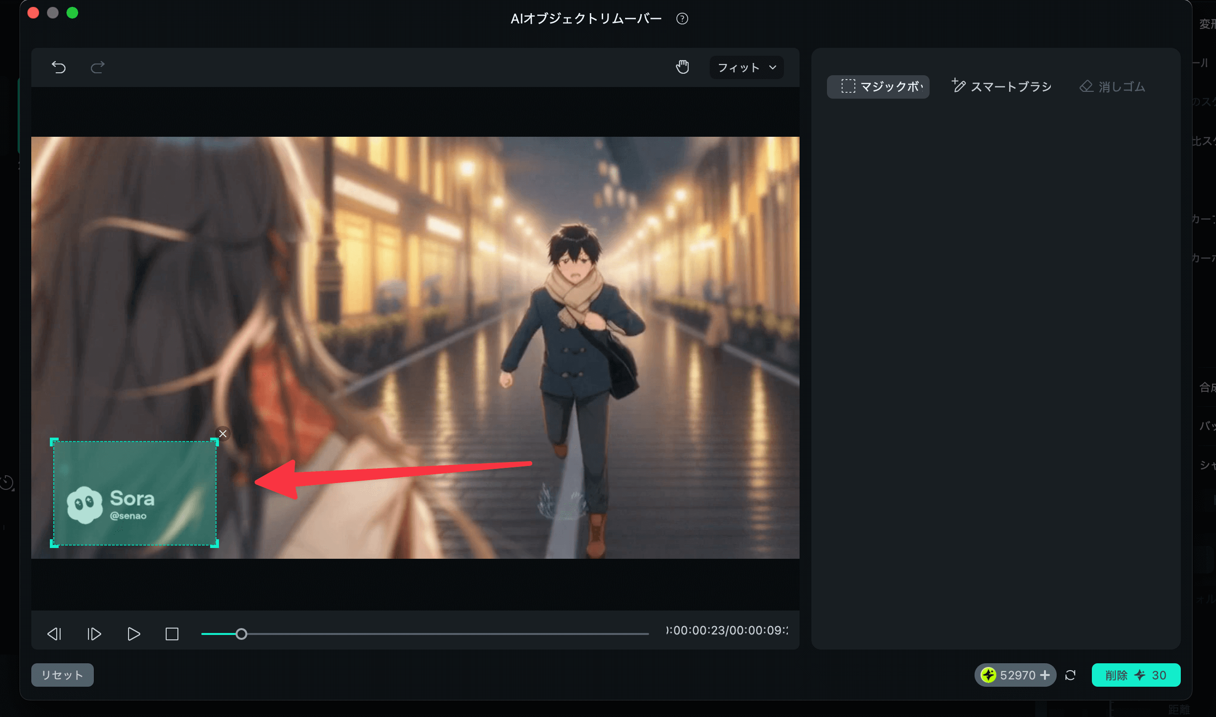 ウォーターマーク削除の範囲選択