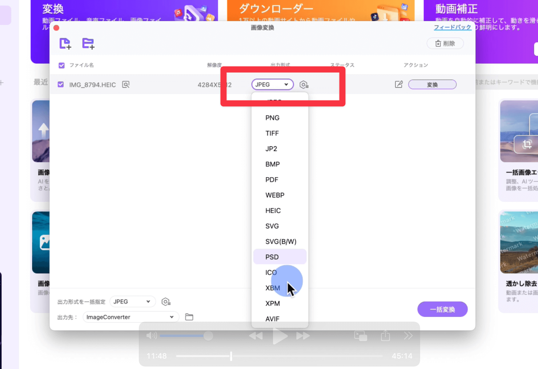 出力形式の選択