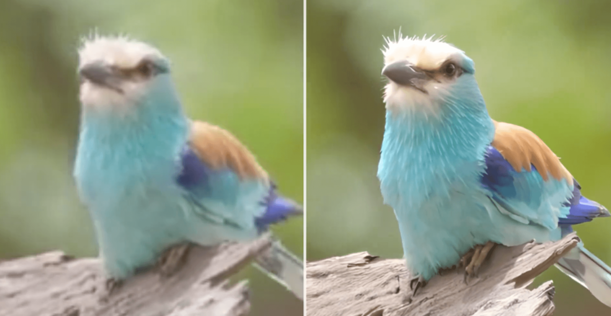 VideoProc Converter AI V8.5の新機能