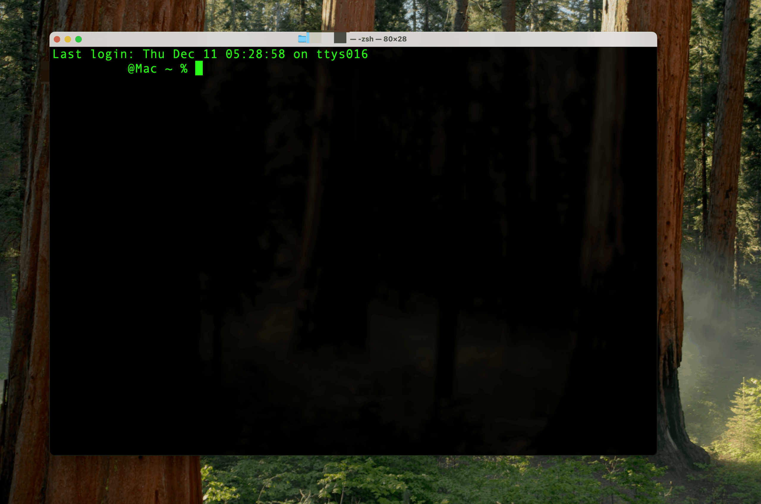 ターミナル起動画面