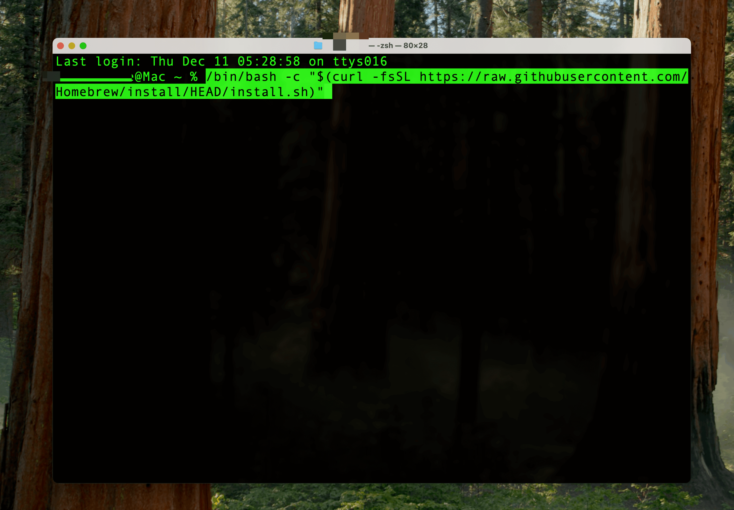 Homebrewインストールコマンド実行