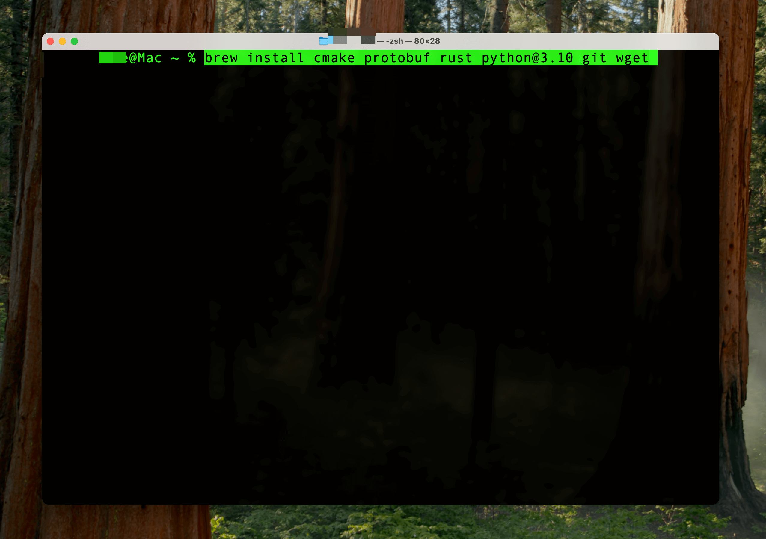 Python3.10インストールコマンド