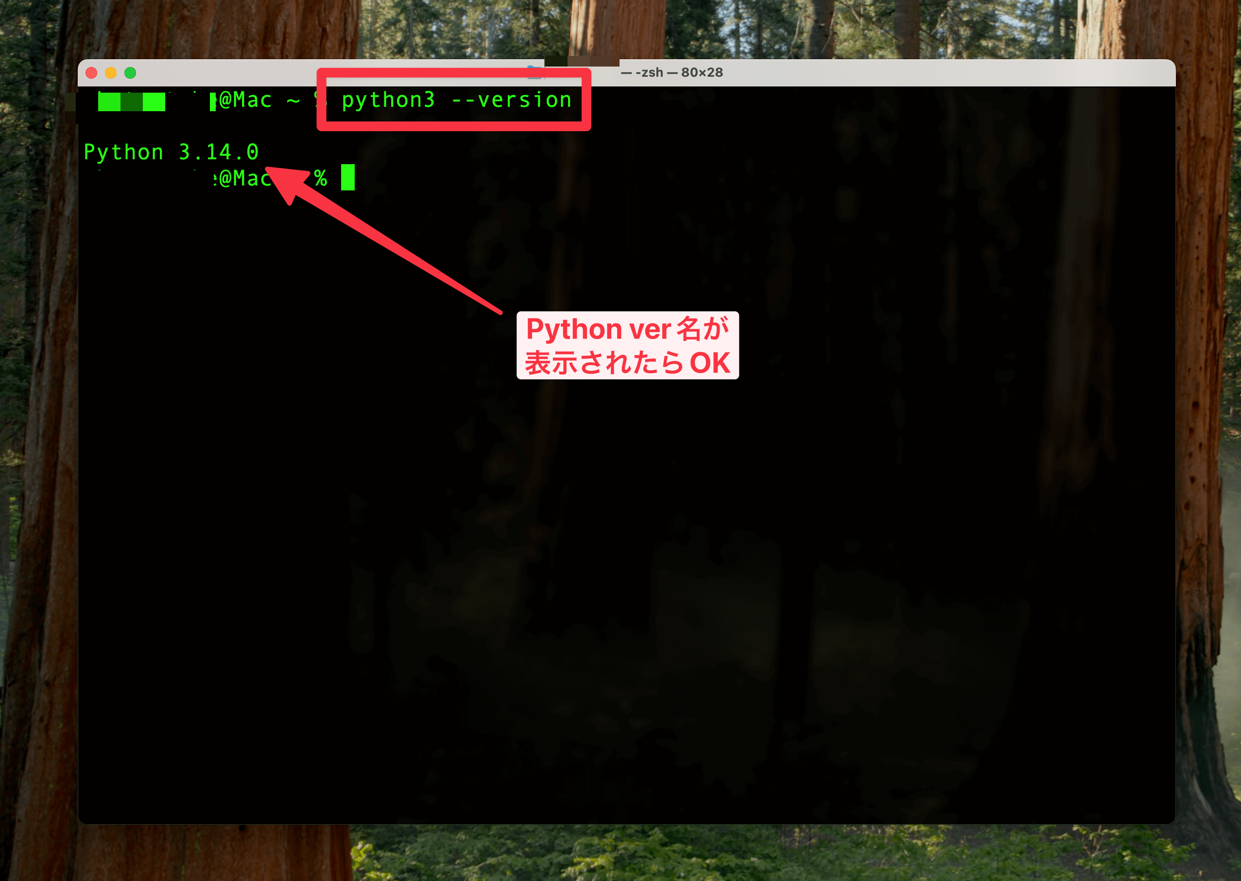 Pythonバージョン確認