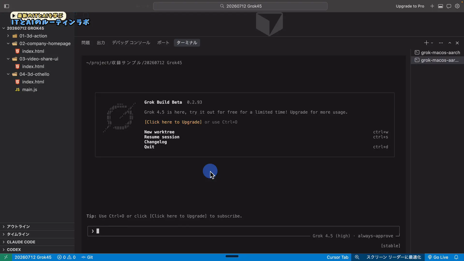 インストール後にGrokのバージョンが表示されたターミナル
