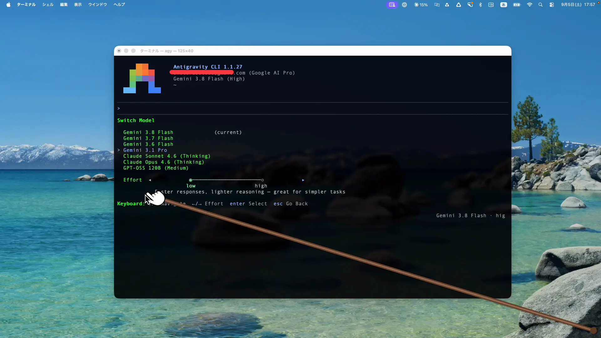 Antigravity CLI でモデルを切り替える画面